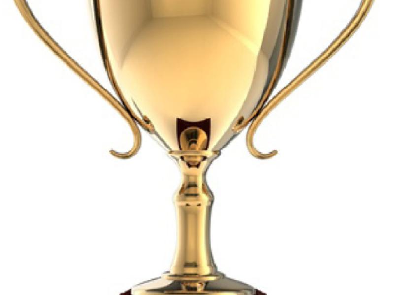 The perfect parent trophy