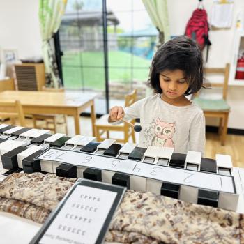 Elementary Child working on advanced math at Lifetime Montessori School in San Diego, Highly rated for Best Montessori School in San Diego