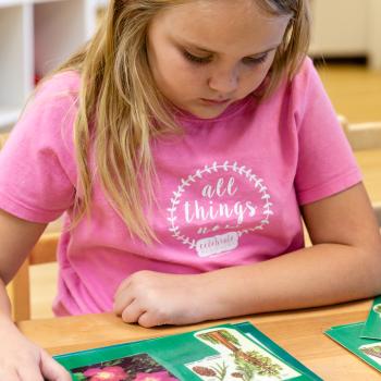 Science Botany Program at Lifetime Montessori School in San Diego, Highly rated for Best Montessori School in San Diego 