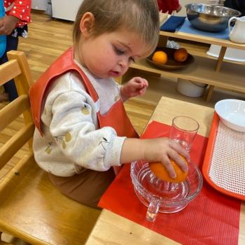 Toddler independently making orange juice at Lifetime Montessori School 